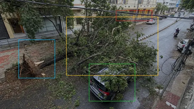 Fallen trees and branches on a CCTV camera